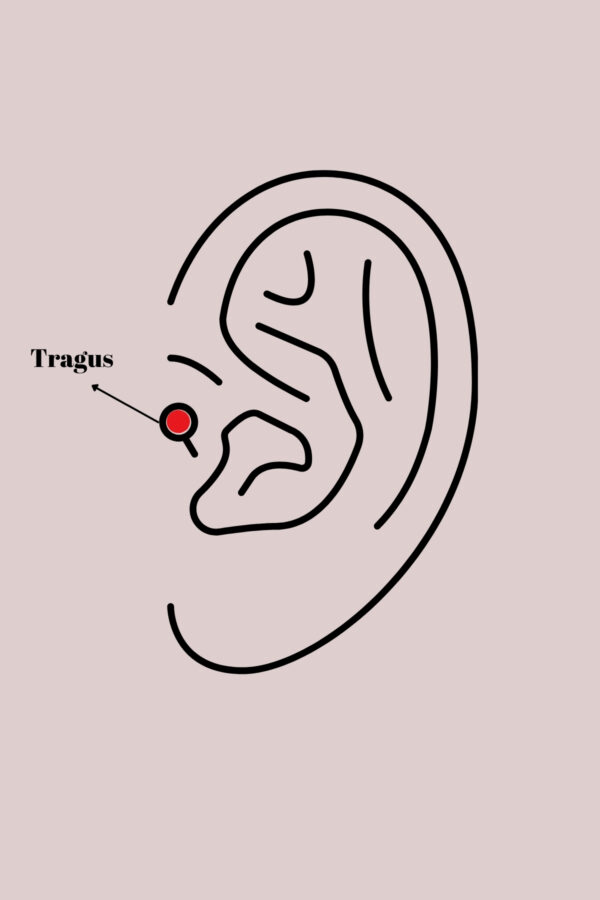 316L Çelik Gold Renk Beyaz Mineli Kalp Zirkon Taş Detaylı Taç Tragus Piercing - Görsel 2