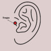 316L Çelik Gold Renk Turuncu Zirkon Taşlı Tragus Piercing - Görsel 2